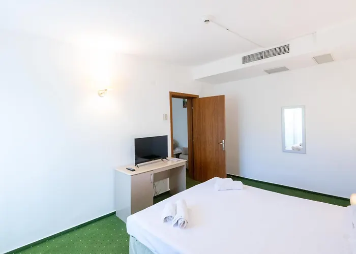 Complex Bran Brad Bega Otel