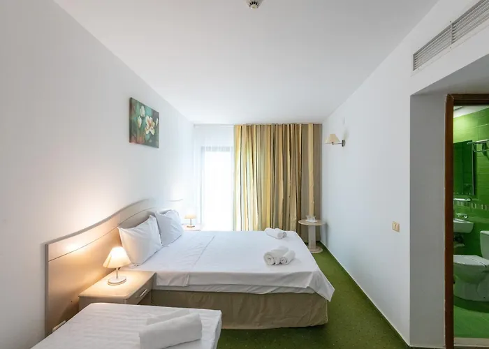 Complex Bran Brad Bega Otel 3*