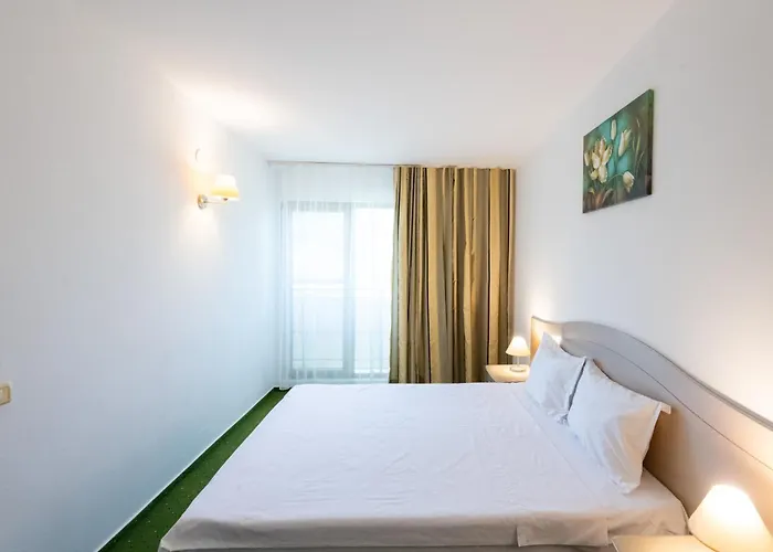 Complex Bran Brad Bega Otel 3*