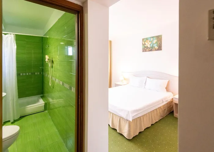 Complex Bran Brad Bega Otel