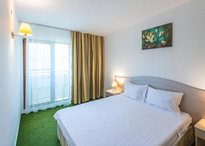 Otel Complex Bran Brad Bega 3*