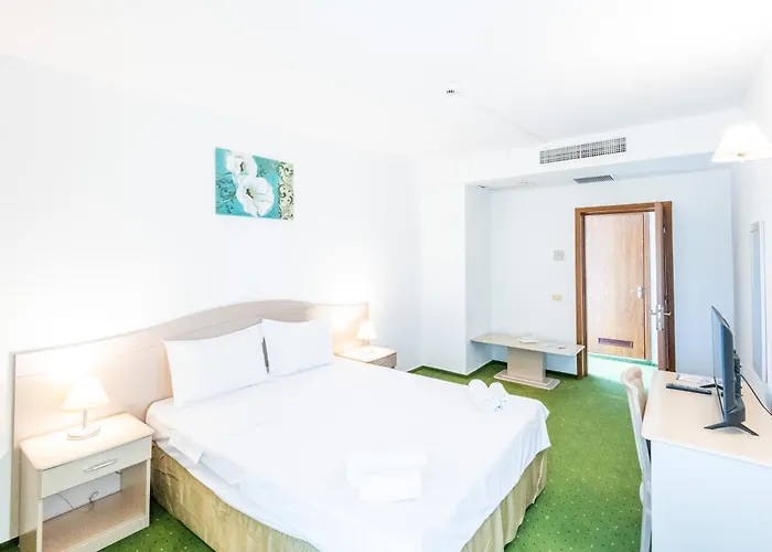 Complex Bran Brad Bega Otel