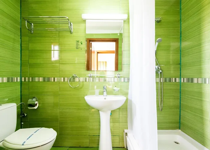 Complex Bran Brad Bega Otel