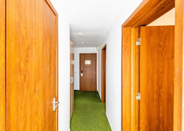 Otel Complex Bran Brad Bega