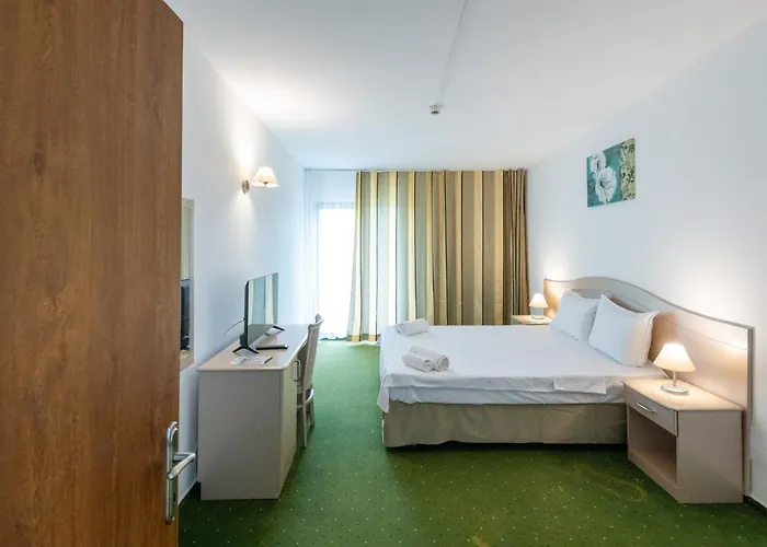 Otel Complex Bran Brad Bega 3*